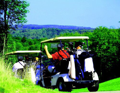4 Season Fun At Legend Cottage Inn Bellaire Faciliteter billede
