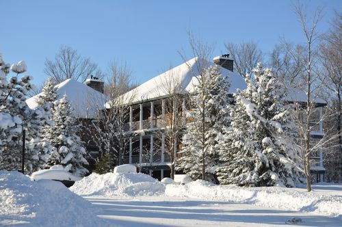 4 Season Fun At Legend Cottage Inn Bellaire Eksteriør billede